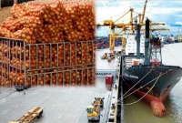 তুরস্ক থেকে সমুদ্রপথে চট্টগ্রামে পৌঁছেছে ২ হাজার টন পেঁয়াজ