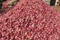 পেঁয়াজের এমন মূল্যবৃদ্ধিতে ভারতে খাদ্যমন্ত্রীর বি'রুদ্ধে মামলা