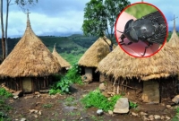 যে গ্রামের সবাই অন্ধ, জন্মের এক সপ্তাহ পরই দৃষ্টি হারিয়ে ফেলে গৃহপালিত পশু ও শিশুরা!