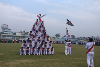 নানা আয়োজনে মহান বিজয় দিবস উদযাপিত