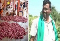 এবার পিয়াজ বিক্রি করে কোটিপতি এক কৃষক