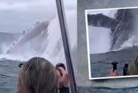 সমুদ্র থেকে যেন লাফিয়ে উঠল বিশাল এক পাহাড়, ভাইরাল ভিডিও!