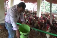  ইঞ্জিনিয়ারিং পড়েও খামারি আতিকুল, মাসে আয় ১০ লাখ টাকা!