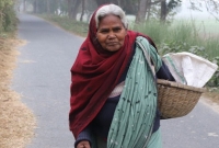 সন্তানের কাছে হয়নি ঠাঁই, নিজ প্রচেষ্টায় স্বাবলম্বী ৭০ বছরের ‘ডিম দাদি’ রাবেয়া