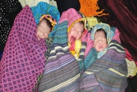 সিরাজগঞ্জে একসঙ্গে তিন সন্তানের জন্ম