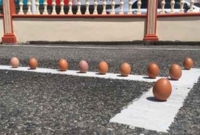  যে কারণে বলয়গ্রাস সূর্যগ্রহণ চলাকালে এভাবেই দাঁড়িয়ে যায় ডিম!