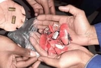 আ.লীগ নেতার বাসায় গু'লিব'র্ষণ ও ক'কটেল হা'মলা