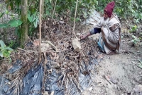 মেয়ের কবরের পাশে বসে এক মাস ধরে কাঁদছেন বাবা