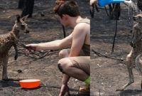 ভ'য়াবহ দা'বানলে পো'ড়া শরীর নিয়ে তরুণের কাছে ছুটে এলো ক্যাঙ্গারু!