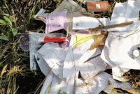 ধ'র্ষ'কের নাম মজনু