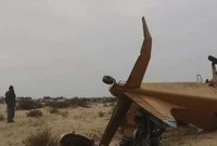  পাকিস্তানে ভ'য়াব'হ বিমান দুর্ঘ'টনা, মা'রা গেলেন শোয়েব মালিক