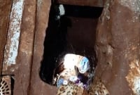 সুর'ঙ্গ দিয়ে কারাগার থেকে একসঙ্গে পা'লাল ৭৫ ব'ন্দি