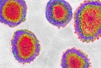 চীনের পর সিঙ্গাপুরসহ ৮ দেশে ছড়িয়েছে করোনা ভাইরাস!