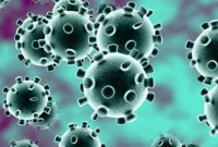 কিস্তির টাকা আদায় আপাতত বন্ধ