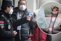 সাপ থেকে ছড়াচ্ছে করোনা ভাইরা'স!