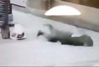 মুহূর্তেই মাটিতে লুটিয়ে পড়লেন 'করোনা' আ'ক্রা'ন্ত ব্যক্তি, ভিডিও ভাই'রাল