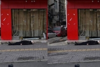 ফু'টপা'তে পড়ে আছে লা'শ, চীনের পরিস্থিতি ভ’য়াব'হ