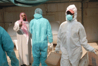 মারাত্ম'ক বার্ড ফ্লুর কব'লে সৌদি আরব, মা'রা গেছে ২২ হাজারের বেশি 