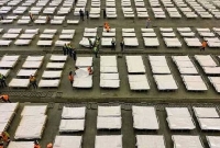 তড়িঘড়ি করে হাজার হাজার লা'শ পু'ড়িয়ে ফেলছে চীন!