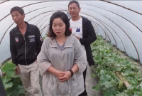 ফুলপুরে চীনা পদ্ধতিতে তরমুজ চাষ, কৃষকদের মাঝে বাড়তি উৎসাহ-উদ্দীপনা