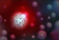 এবার ব্রাজিলে এক রহস্যময় অচেনা ভাইরাসের সন্ধান