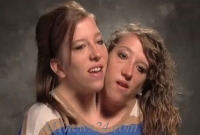 দুই  জোড়া বোনের একজন অঙ্ক পড়ান, অন্যজন ইংরেজি!