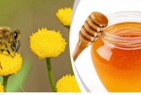 এক পাউন্ড মধু উৎপাদনে ২০ লাখ ফুলে যায় মৌমাছিরা