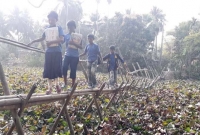 প্রতিদিন স্কুলের যাওয়ার পথে ও বাড়ি ফেরার পথে খুব ভয় পায় তারা