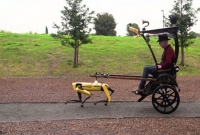 রিক্সায় যাত্রী নিয়ে যাচ্ছে রোবট কুকুর!