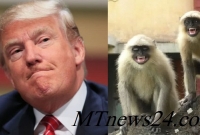 ভারতে ট্রাম্পের নিরাপত্তায় পাঁচ হনুমান!