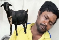 ফাঁকা বাড়িতে ঘরে ঢুকে ছাগলকে ধ'র্ষণ, আটক যুবক!