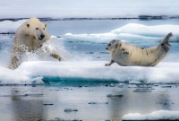 নিজেদের সন্তান খেয়েই ক্ষুধা মেটাচ্ছে তারা