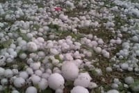 শিবচরে ব'জ্রপাতের সঙ্গে ব্যাপ'ক শিলাবৃষ্টি