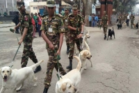 বাংলাদেশকে আরও ১০টি প্রশিক্ষণপ্রাপ্ত কুকুর দিলো ভারত