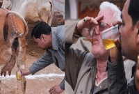 করোনাভাইরা'স রুখতে হিন্দুদের ‘গোমূত্র পার্টি’, থাকবে গোবরের কেক!