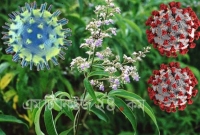 দুই ঘণ্টার বেশি বাতাসে ভেসে থাকতে পারে করোনা: গবেষণা