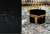 কাবায় তাওয়াফ বন্ধ হলেও তাওয়াফ করলো একঝাঁক পাখি!