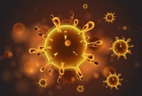 মিরপুরে সেই বাড়ির পাশে আরও একজনের মৃ'ত্যু