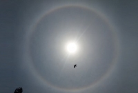   পটুয়াখালীর আকাশে হঠাৎ সূর্যের চারপাশে বৃত্তাকার রংধনু! মানুষের মাঝে বেশ উৎকণ্ঠা