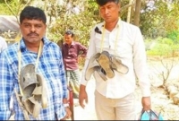 করোনা ভাইরাসের টিকা বিক্রির অ'ভিযোগে দুই প্র’তারককে আট'ক