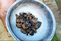 এবার করোনা ঠেকাতে ভারতে কয়লাগুঁড়া গায়ে মাখার হিড়িক