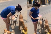 লকডাউনের সময় হাফপ্যান্ট পরে বাইরে কেন? রাস্তার কুকুরদের খাওয়াতে গিয়ে ধ'মক খেলেন শ্রীলেখা!