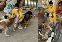 নিজের হাতে ভাত-মুরগি রান্না করে শহরের কুকুরদের পাশে জয়া আহসান