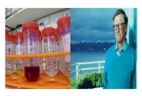 দ্রুত ভ্যাকসিন তৈরির জন্য ফ্যাক্টরি করছেন বিল গেটস, নিয়োগ পেলেন সাতজন বিশিষ্ট বিজ্ঞানি