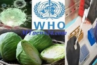 করোনা ইস্যুতে বাঁধাকপি; বিশ্ব স্বাস্থ্য সংস্থা বলছে, এটি ভুয়া মেসেজ