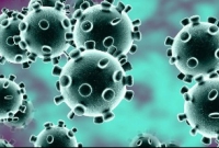  উ. কোরিয়ায় করোনার হা'না, চার চিকিৎসকের মৃ'ত্যু