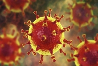 কাপাসিয়ায় করোনা রোগী শনা'ক্ত, ১০ বাড়ি ও কারখানা লকডাউন