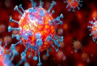 করোনা যে মারাত্মক আকার ধারণ করবে, সে ব্যাপারে অনেক আগেই সতর্ক করেছিল তাইওয়ান!