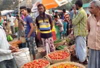 টমেটো ও বেগুনের কেজি ৩/৪ টাকা, কৃষকদের মাথায় হাত!