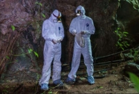 প্রকাশ্যে চাঞ্চল্যকর তথ্য, আমেরিকার অর্থায়নে বাদুড় নিয়ে গবেষণা চালাচ্ছিল চীন!